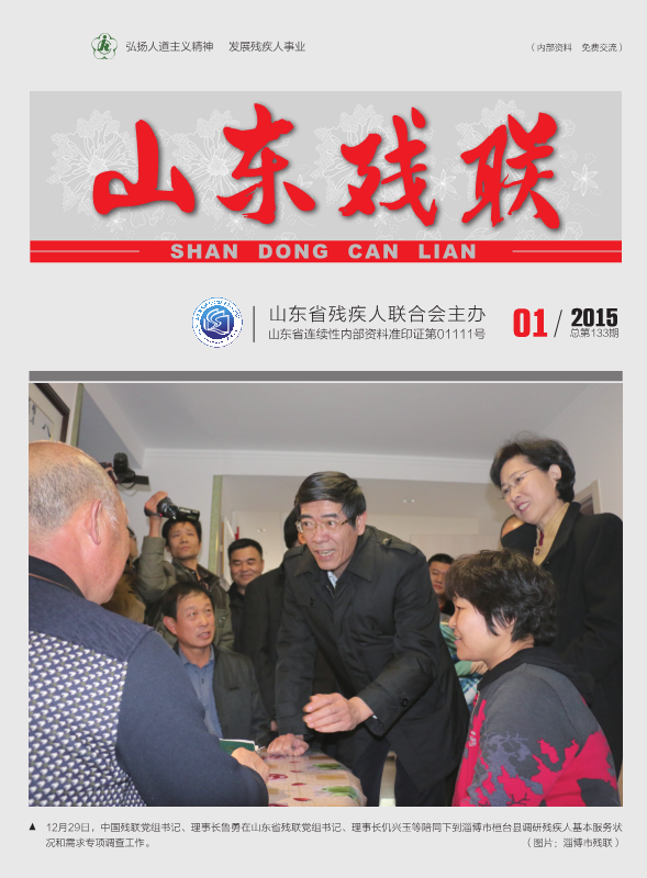 2015���1��